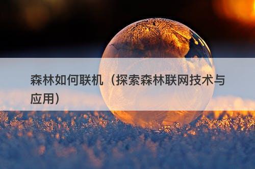 森林如何联机（探索森林联网技术与应用）