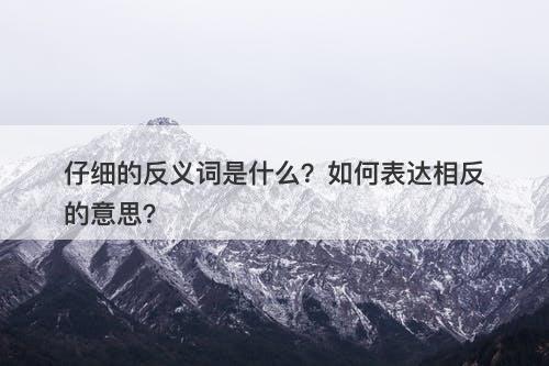 仔细的反义词是什么？如何表达相反的意思？