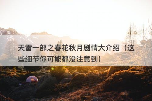 天雷一部之春花秋月剧情大介绍（这些细节你可能都没注意到）