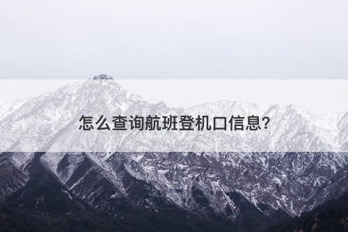 怎么查询航班登机口信息？