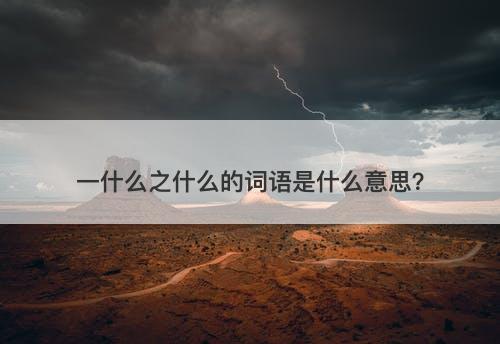 一什么之什么的词语是什么意思？