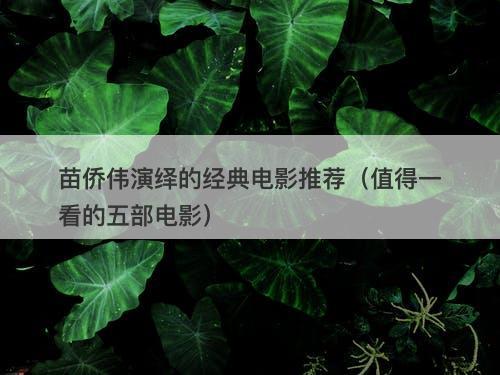 苗侨伟演绎的经典电影推荐（值得一看的五部电影）