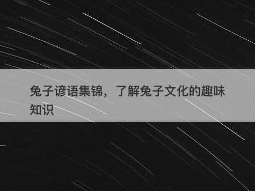 兔子谚语集锦，了解兔子文化的趣味知识