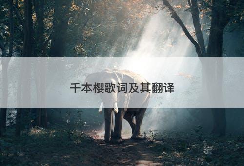 千本樱歌词及其翻译