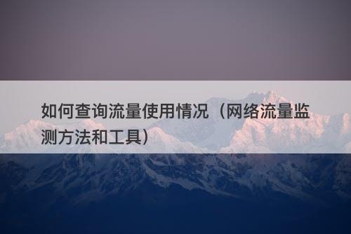 如何查询流量使用情况（网络流量监测方法和工具）-图1