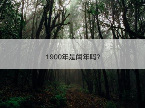 1900年是闰年吗？