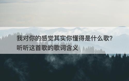 我对你的感觉其实你懂得是什么歌？听听这首歌的歌词含义
