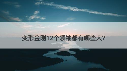 变形金刚12个领袖都有哪些人？