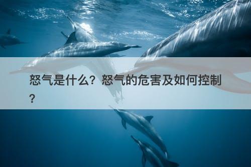 怒气是什么？怒气的危害及如何控制？