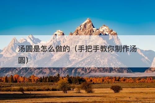 汤圆是怎么做的（手把手教你制作汤圆）