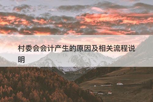 村委会会计产生的原因及相关流程说明