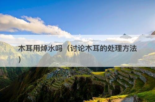 木耳用焯水吗（讨论木耳的处理方法）