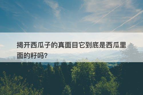揭开西瓜子的真面目它到底是西瓜里面的籽吗？