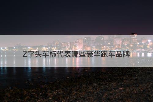 Z字头车标代表哪些豪华跑车品牌