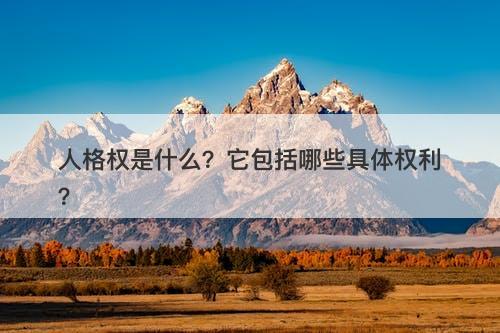 人格权是什么？它包括哪些具体权利？