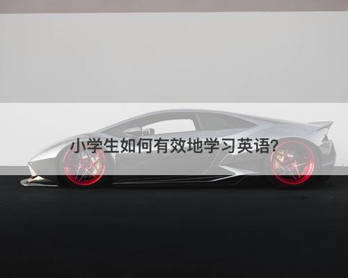 小学生如何有效地学习英语？
