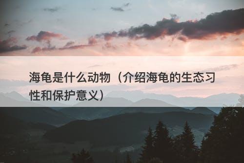 海龟是什么动物（介绍海龟的生态习性和保护意义）