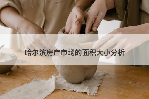 哈尔滨房产市场的面积大小分析
