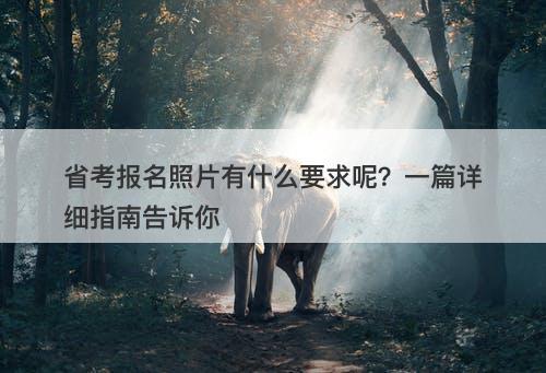 省考报名照片有什么要求呢？一篇详细指南告诉你