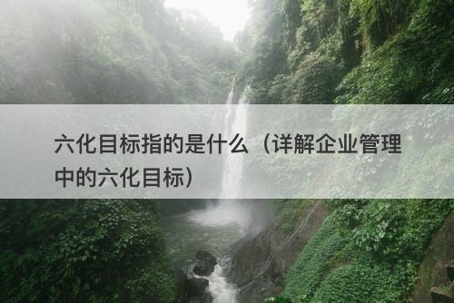 六化目标指的是什么（详解企业管理中的六化目标）