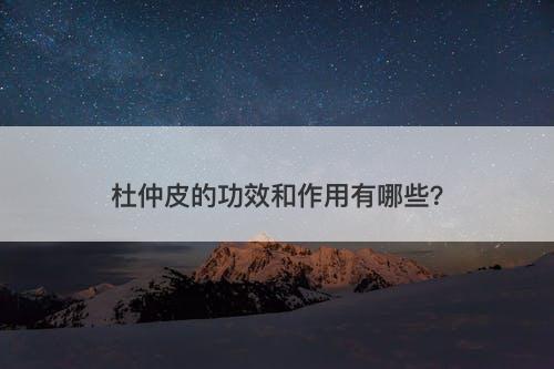 杜仲皮的功效和作用有哪些？
