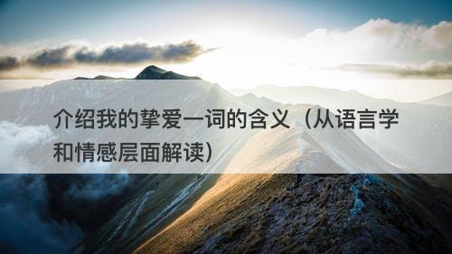 介绍我的挚爱一词的含义（从语言学和情感层面解读）
