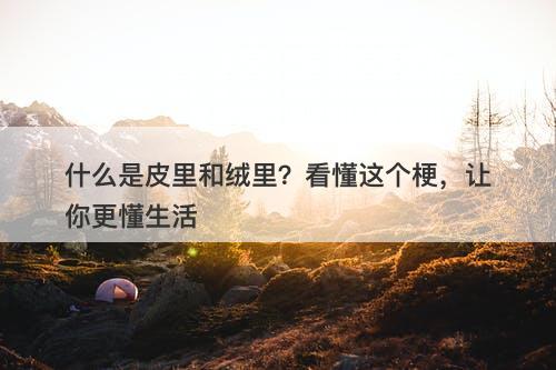 什么是皮里和绒里？看懂这个梗，让你更懂生活