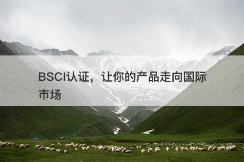 BSCI认证，让你的产品走向国际市场