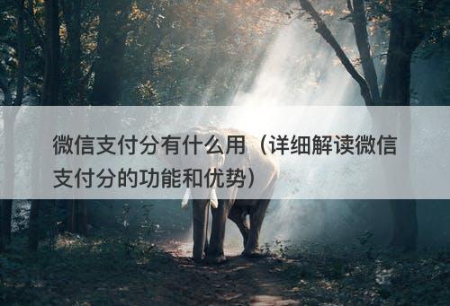 微信支付分有什么用（详细解读微信支付分的功能和优势）