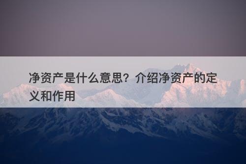 净资产是什么意思？介绍净资产的定义和作用