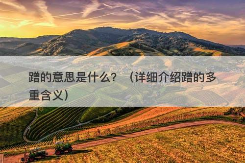 蹭的意思是什么？（详细介绍蹭的多重含义）
