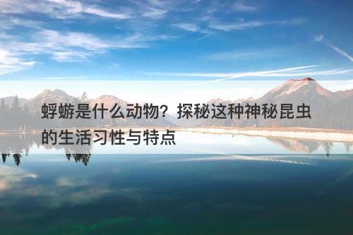 蜉蝣是什么动物？探秘这种神秘昆虫的生活习性与特点