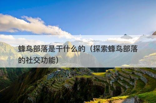 蜂鸟部落是干什么的（探索蜂鸟部落的社交功能）