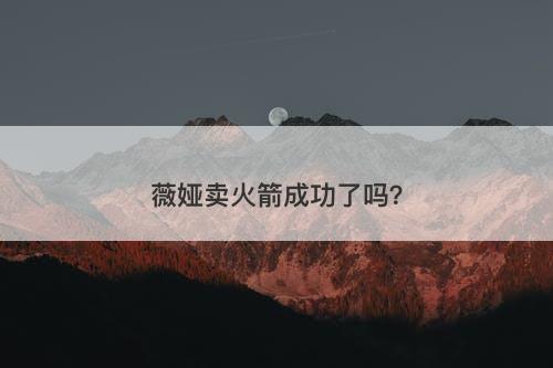 薇娅卖火箭成功了吗？