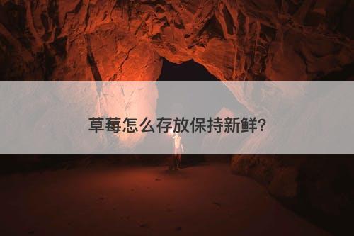 草莓怎么存放保持新鲜？