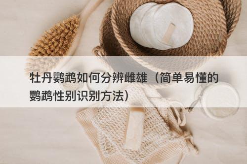 牡丹鹦鹉如何分辨雌雄（简单易懂的鹦鹉性别识别方法）