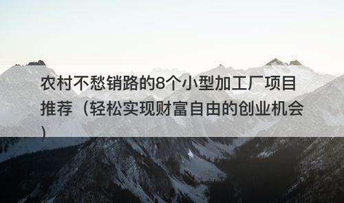 农村不愁销路的8个小型加工厂项目推荐（轻松实现财富自由的创业机会）
