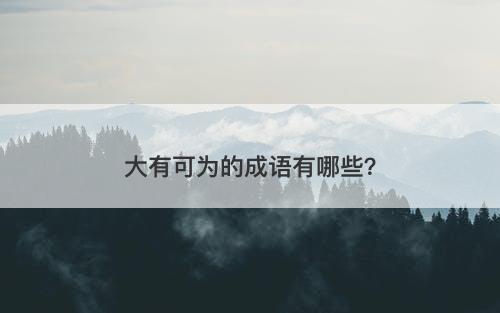 大有可为的成语有哪些？