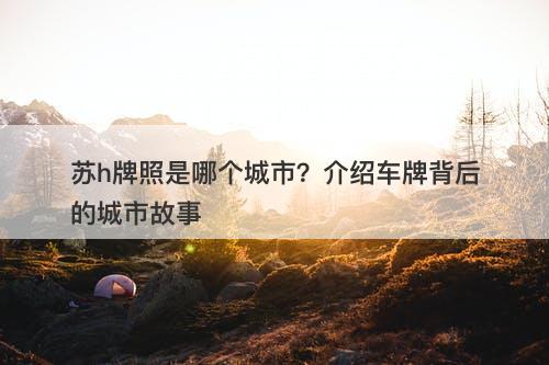 苏h牌照是哪个城市？介绍车牌背后的城市故事