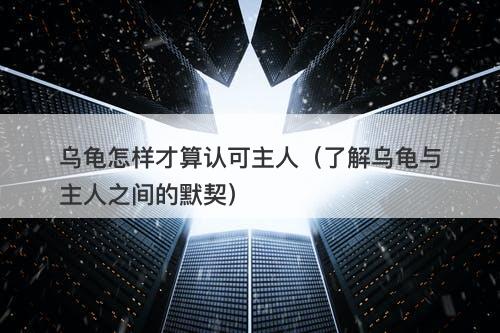 乌龟怎样才算认可主人（了解乌龟与主人之间的默契）