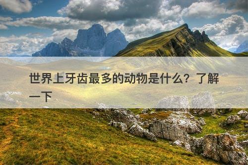 世界上牙齿最多的动物是什么？了解一下-图1