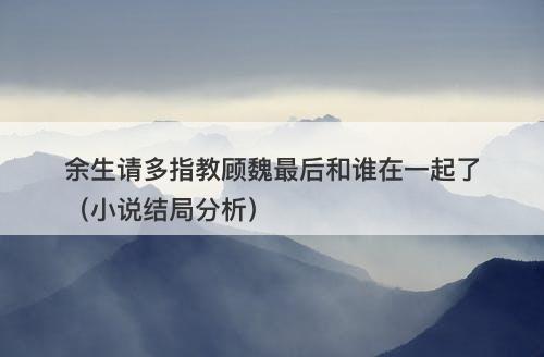 余生请多指教顾魏最后和谁在一起了（小说结局分析）