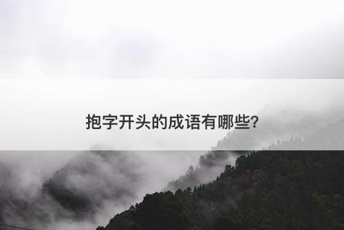 抱字开头的成语有哪些？
