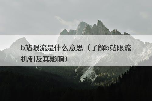 b站限流是什么意思（了解b站限流机制及其影响）