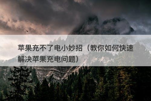 苹果充不了电小妙招（教你如何快速解决苹果充电问题）