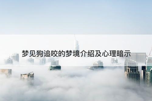 梦见狗追咬的梦境介绍及心理暗示