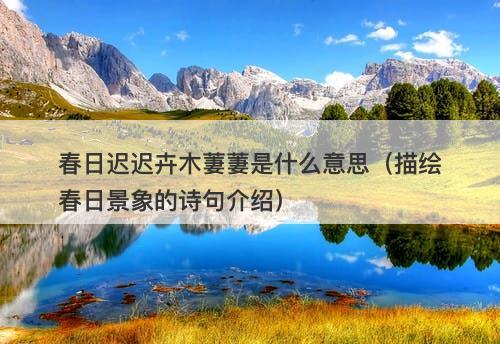 春日迟迟卉木萋萋是什么意思（描绘春日景象的诗句介绍）