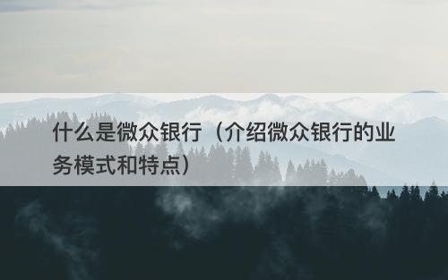 什么是微众银行（介绍微众银行的业务模式和特点）