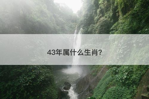 43年属什么生肖？