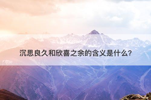 沉思良久和欣喜之余的含义是什么？